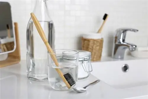 Como desinfetar uma escova de dentes: 10 métodos fáceis que funcionam