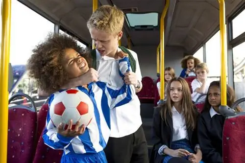 Bullying în autobuzul școlar