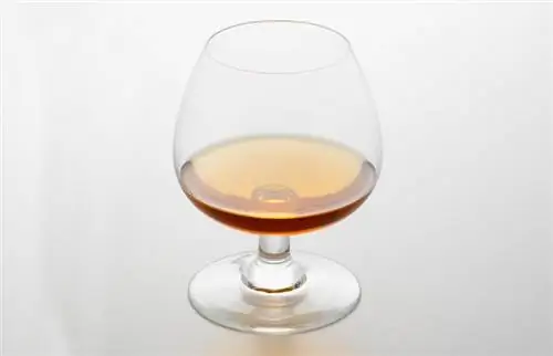 Cara Minum Brandy Dengan Cara Yang Betul