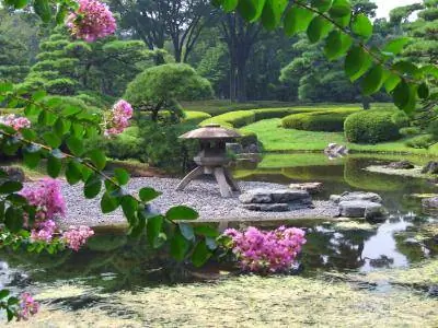 تصميم حديقة Zen اليابانية