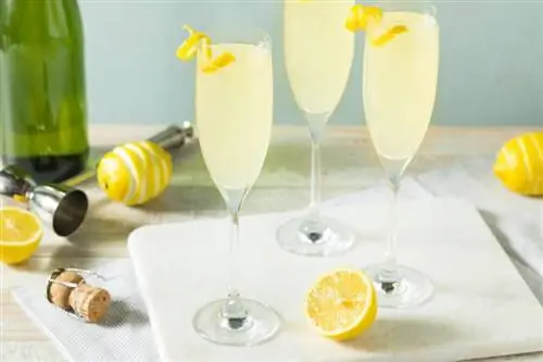 11 recettes de cocktails français classiques avec un attrait élégant