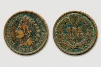 Indijos galvos kviečių cento moneta – 1892 m
