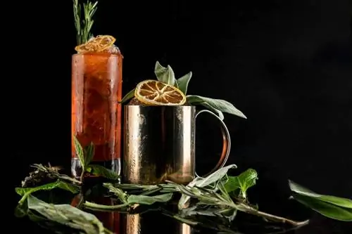 11 moderne klassieke cocktailresepte met 'n kinkel