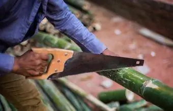 Home tallant bambú amb serra de mà