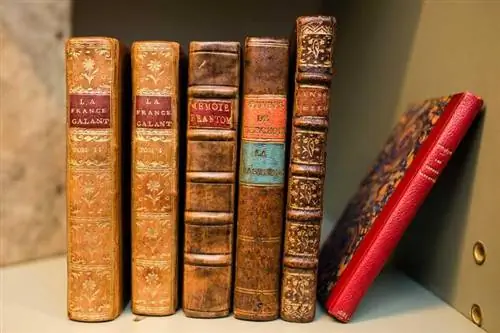 Sjeldne bokhandler har begrensede utgaver av litterære skatter
