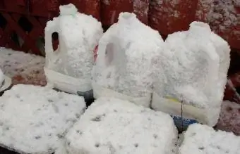 Przykłady typowych pojemników do siewu zimowego
