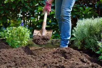 menambahkan kompos ke kebun