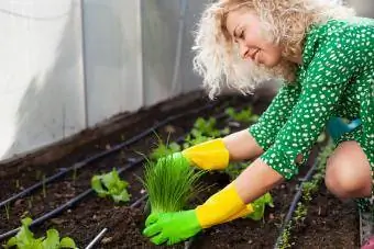 Belle jeune femme plantant des herbes en serre