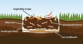Worm Bed Layers