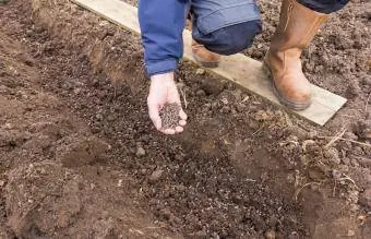 Aplicar fertilizante al suelo