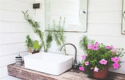 Najbolje biljke za vaše kupatilo