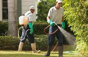 Jardineiros pulverizando plantas