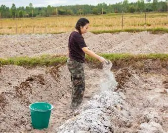 Tukang kebun meletakkan kapur atau kalsium hidroksida ke dalam tanah untuk meneutralkan keasidan tanah