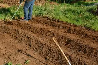 Mengolah tanah dengan tangan untuk menanam tanaman