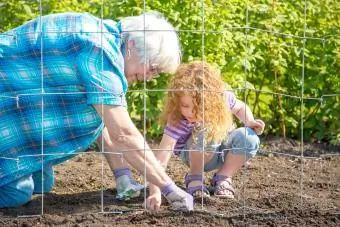 Niña y abuela plantando guisantes en el jardín
