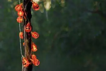 Pumpkin Branch Lights