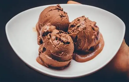 შოკოლადის ნაყინის რეცეპტები