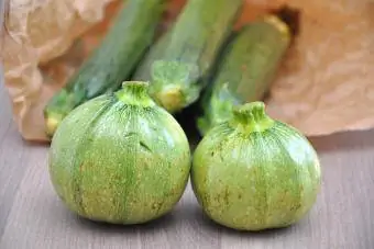 Ronde de Nice zucchini