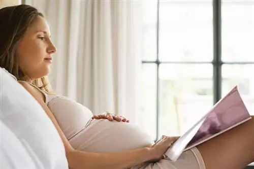 15 těhotenských časopisů, knih, & webových stránek, které stojí za váš čas