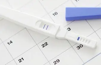 Pozitif sonuç ve takvimi gösteren hamilelik testi