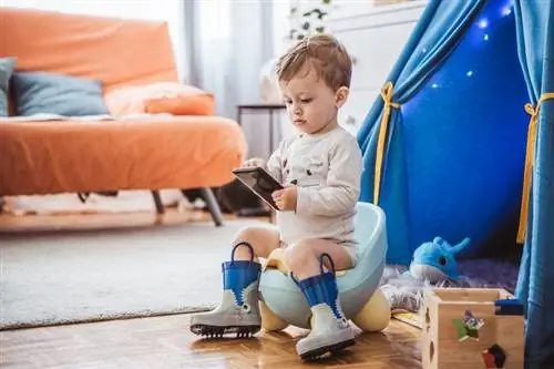 Vrhunski vodič o tome kako malo dijete naučiti na nošu