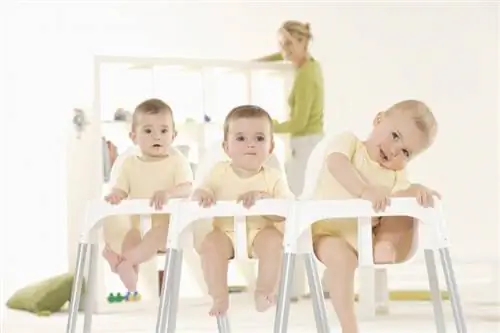 Bebek Mama Sandalyeleri için Harika Seçenekler