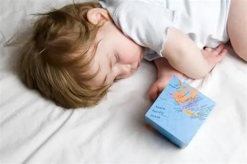 Diferents tipus de llits de viatge per a nadons