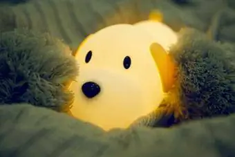 Papa Puppy Night Light