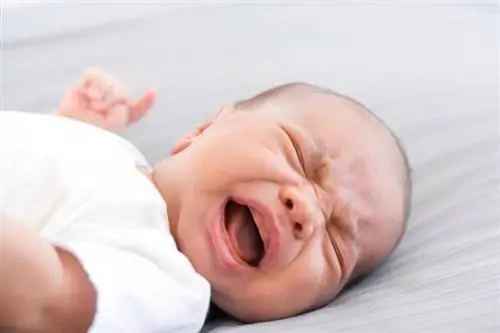 Звуци на бебешки плач и какво означават