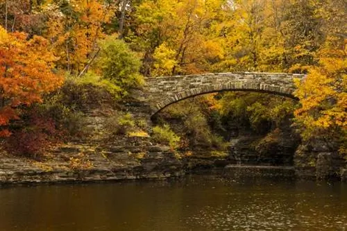 Een bezoek aan Ithaca, New York