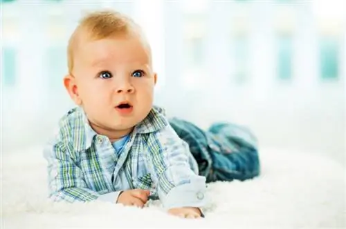 Erkek Bebek Kıyafetleri Nasıl Alışveriş Yapılır