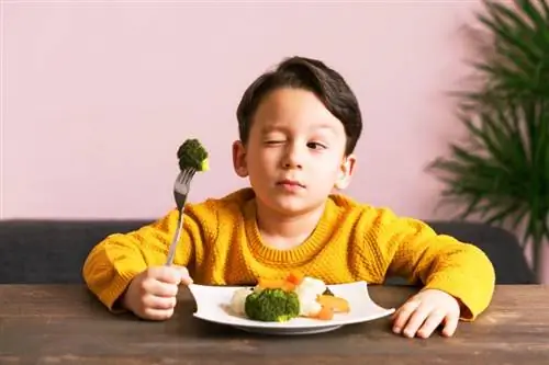 Δραστηριότητες Διατροφής για Παιδιά