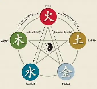 Cicles de cinc elements