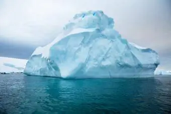 Iceberg