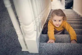 Meilleur tapis pour les escaliers à fort trafic