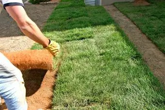 Poob Sod Installation