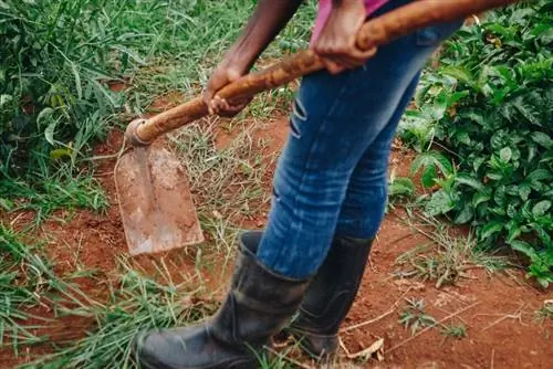 چگونه خاک رسی را اصلاح کنیم: 4 گام برای موفقیت در باغبانی