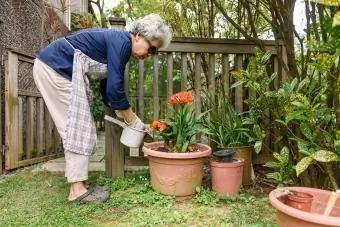 Mujer fertilizando plantas