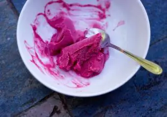 Image d'un sorbet aux raisins à moitié mangé dans un bol