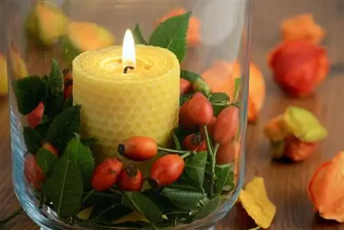 5 puhtainta palavaa kynttilää, joita voit ostaa