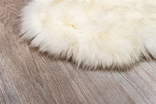Kuinka puhdistaa lampaannahkainen matto