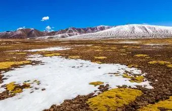 የቱንድራ እይታ በ Qinghai-Tibet Plateau ላይ