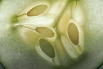מאקרו של זרעי מלפפון