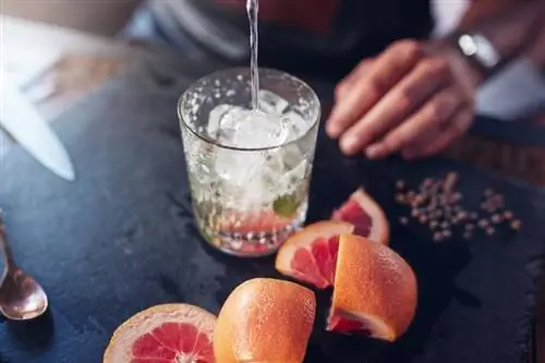 13 cocktail a base di succo di pompelmo che vorrai assaporare