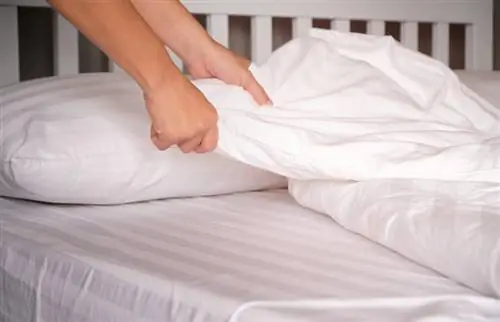 Hvordan drepe lus på sengetøy