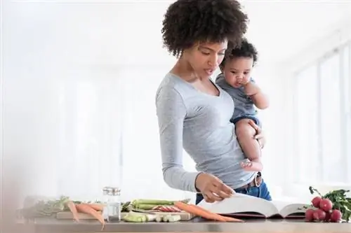 Una guida per realizzare un libro di cucina per tutta la famiglia che possa durare per generazioni