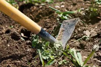 Trädgårdsredskap i färd med att gräva ogräs från toppjord