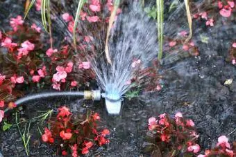 Gartensprinkler bewässert das Blumenbeet im Freien