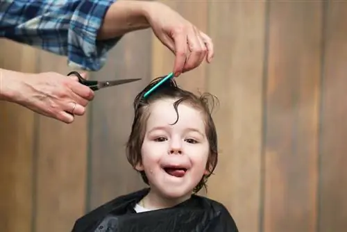 10 مدل موی شایان ستایش برای نوزادان پسر
