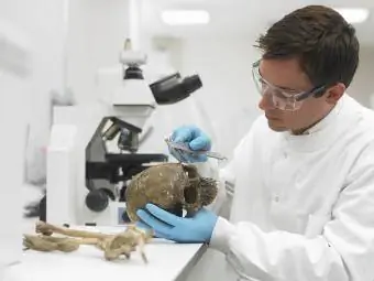 Учен, изследващ черепа с шублер